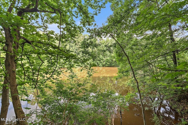 727 Laney Dr, Clinton, MS 39056 - view of woods