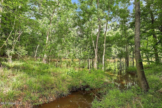 727 Laney Dr, Clinton, MS 39056 - view of nature