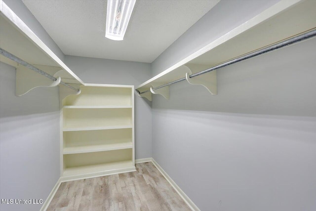 spacious closet featuring light wood-type flooring