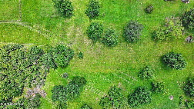 bird's eye view featuring a rural view