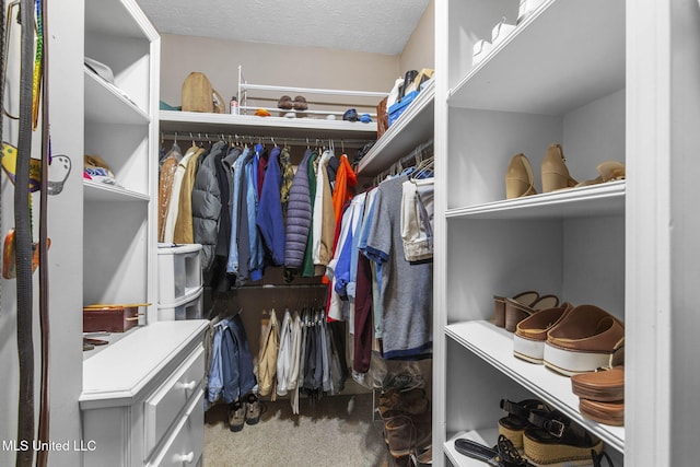 141 Whisper Lake Blvd, Madison, MS 39110 - walk in closet featuring carpet flooring