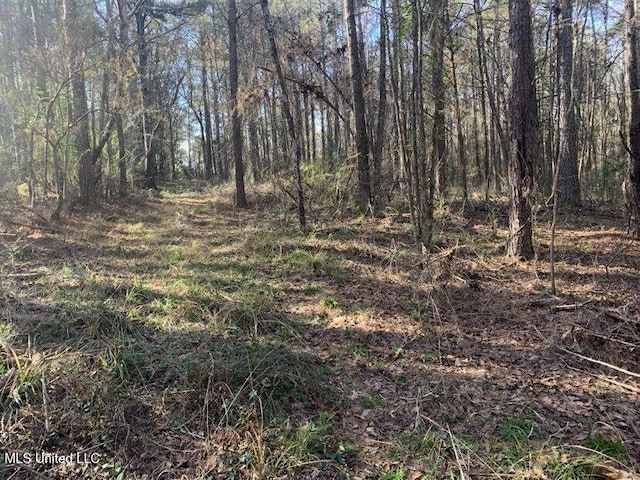 000 Dry Creek Rd, Mendenhall MS, 39114 land for sale