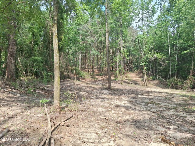 1078 Dry Creek Rd, Mendenhall, MS 39114