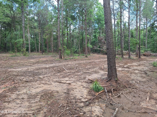1078 Dry Creek Rd, Mendenhall, MS 39114