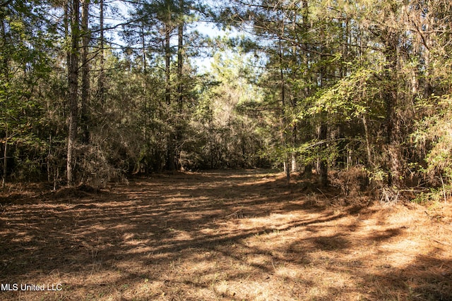 Listing photo 3 for Union Rd, Hazlehurst MS 39083