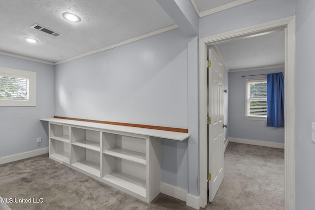107 Lakepointe Dr, Madison, MS 39110 - corridor featuring carpet, a textured ceiling, ornamental molding, baseboards, and healthy amount of natural light