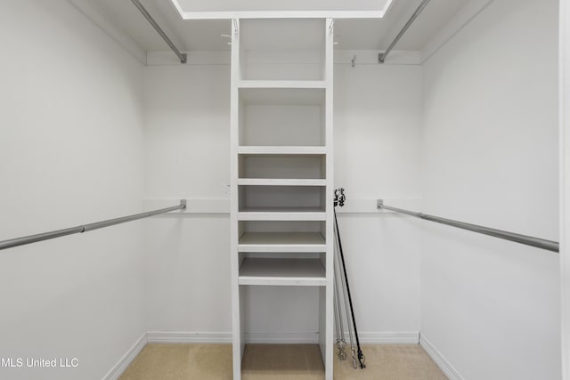 148 Acacia Ave, Biloxi, MS 39530 - walk in closet with carpet floors