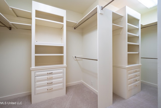 walk in closet with light colored carpet