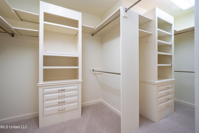 spacious closet with carpet