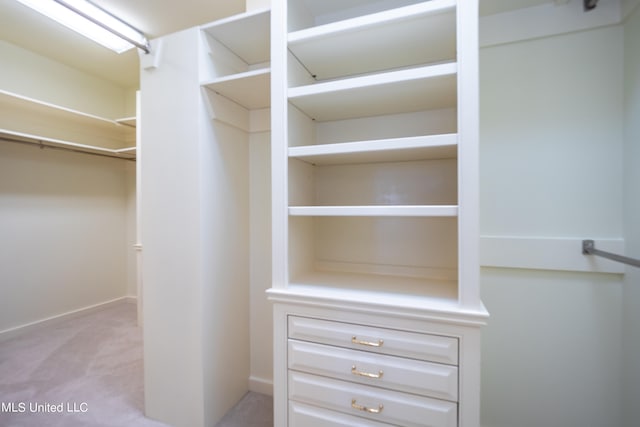 walk in closet with light colored carpet