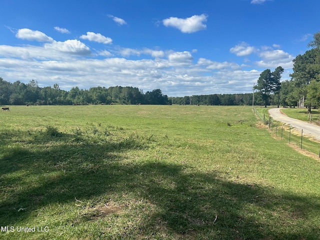 view of yard with a rural view