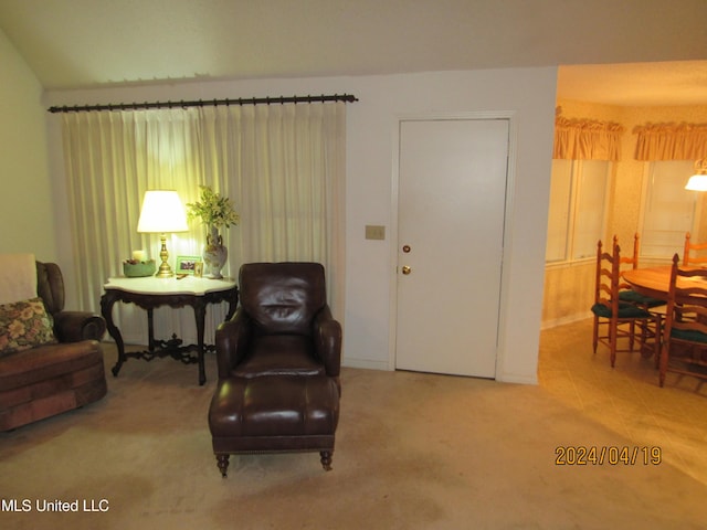 living area featuring carpet flooring