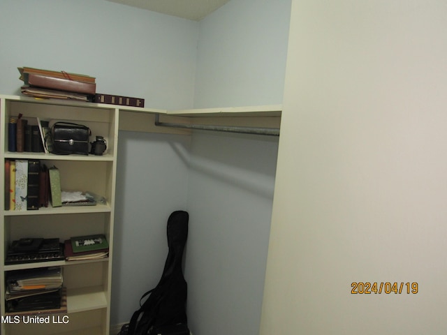 view of spacious closet