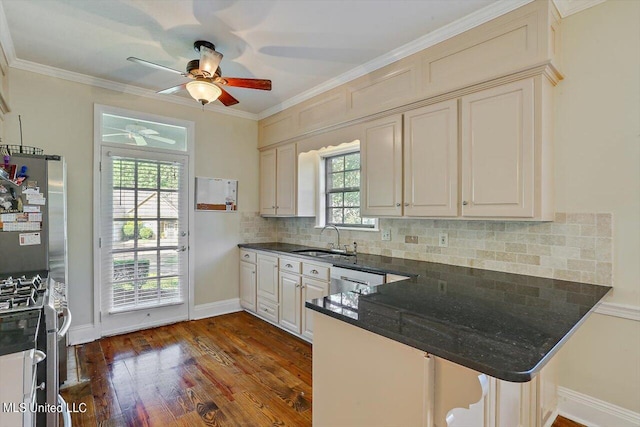 kitchen featuring dark wood finished floors, stainless steel appliances, a sink, a peninsula, and ceiling fan