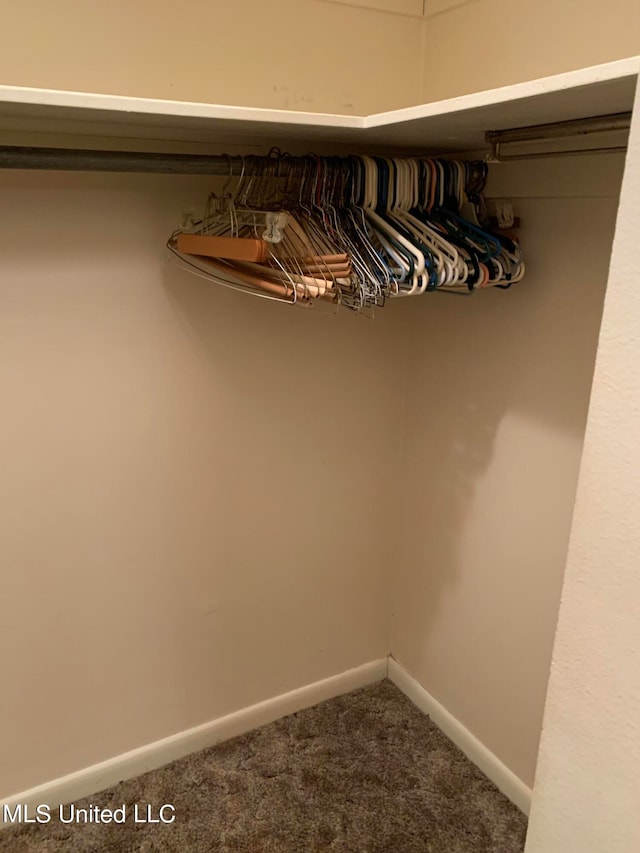 view of closet