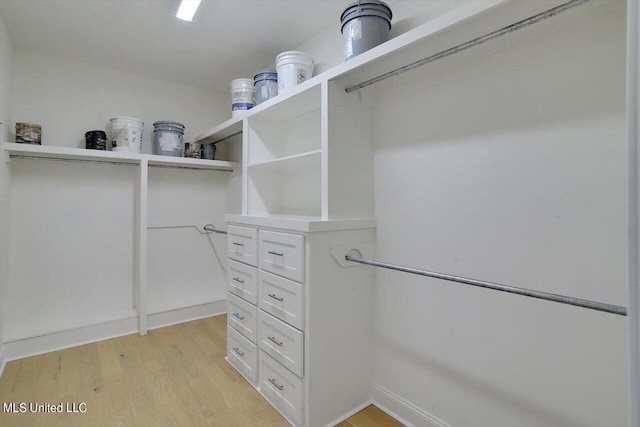 walk in closet with light wood-type flooring