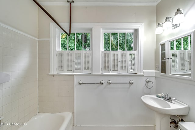 bathroom featuring ornamental molding, a bathtub, and a wealth of natural light