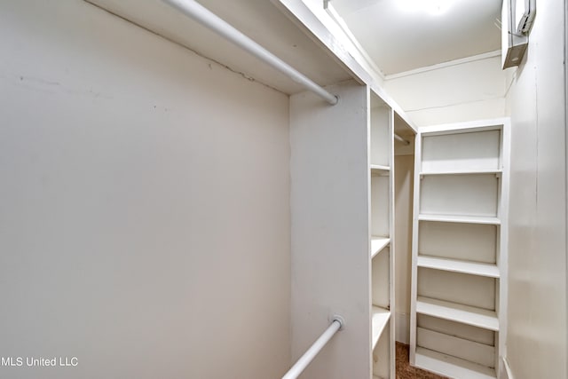 view of walk in closet