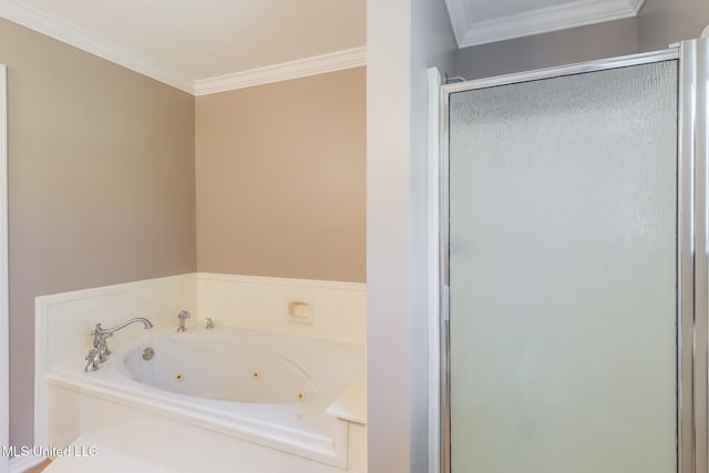 28121 Dusty Ln, Picayune, MS 39466 - full bath with a shower stall, a whirlpool tub, and ornamental molding