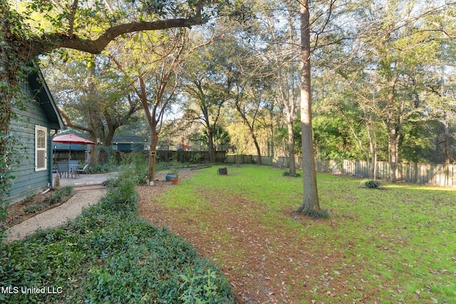 view of yard featuring a patio area