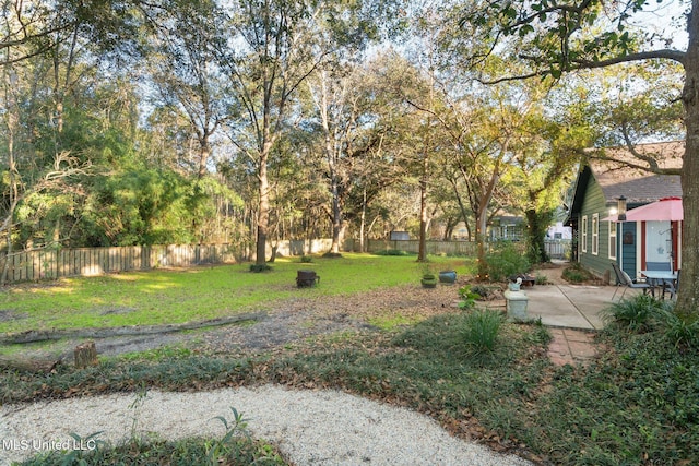 view of yard featuring a patio area