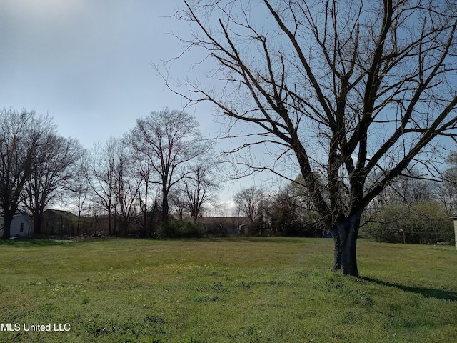 114 S Jones Ave, Cleveland MS, 38732 land for sale