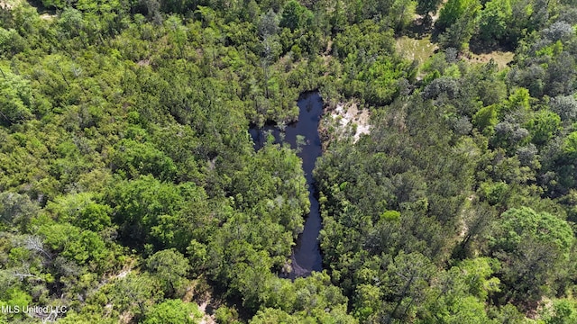 19640 Busby Rd, Vancleave, MS 39565 - bird's eye view with a forest view and a water view