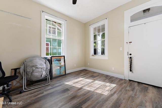 entrance foyer with dark wood-type flooring