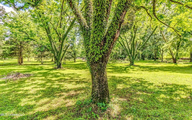 106 Mcwilliams Dr, Terry, MS 39170 - view of grassy yard
