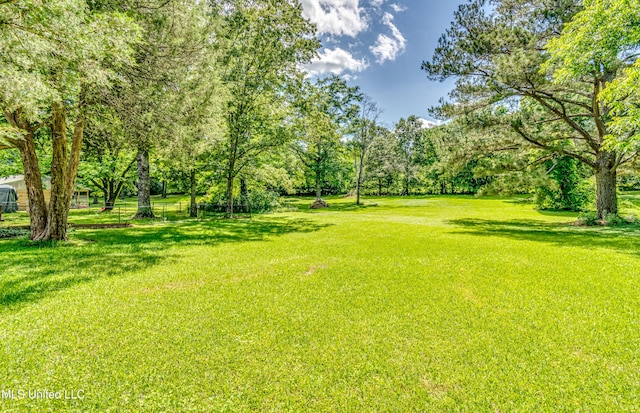 106 Mcwilliams Dr, Terry, MS 39170 - view of yard