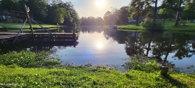 904 E Lakeshore Dr, Carriere, MS 39426 - water view with a boat dock