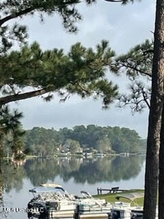 904 E Lakeshore Dr, Carriere, MS 39426 - water view with a heavily wooded area