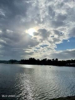 904 E Lakeshore Dr, Carriere, MS 39426 - water view