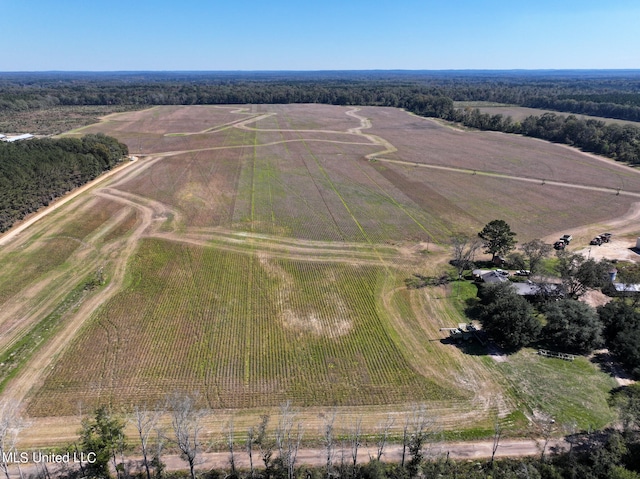 2088 Swamp Ln, Hazlehurst MS, 39083 land for sale