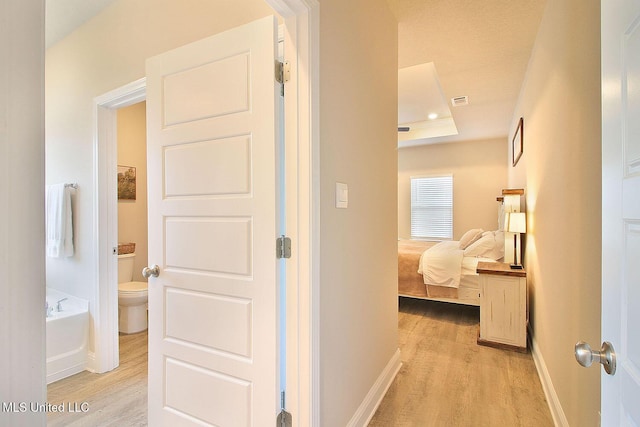 hall with a raised ceiling and light hardwood / wood-style flooring