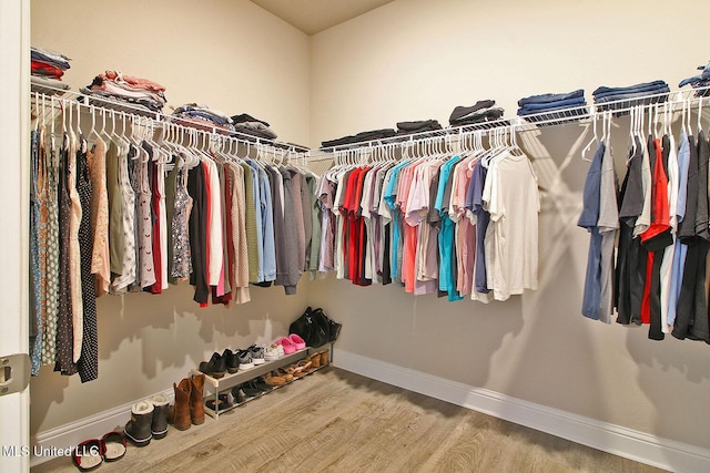 walk in closet with hardwood / wood-style floors