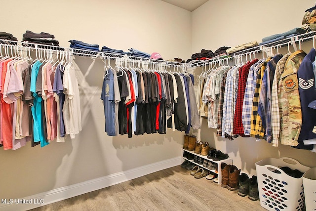 spacious closet with hardwood / wood-style floors