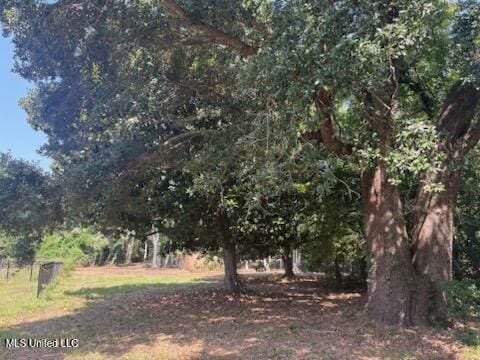 Camelia Dr, Pass Christian, MS 39571