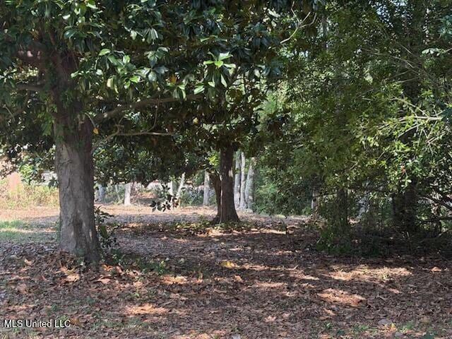 Camelia Dr, Pass Christian, MS 39571