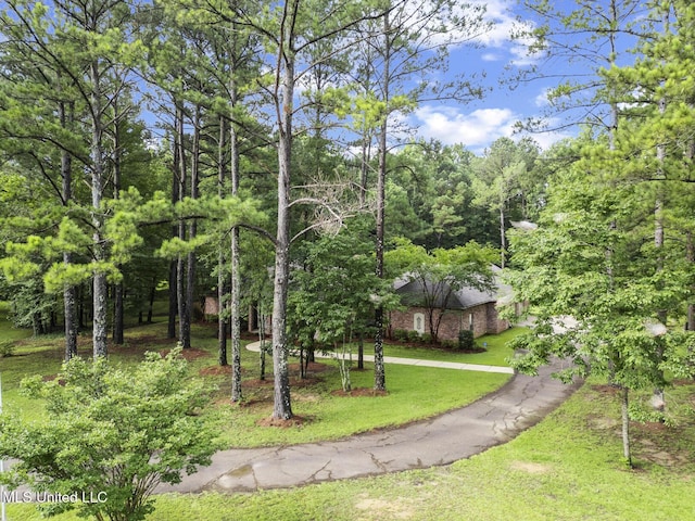191 N Brandon Blvd, Brandon, MS 39042 - view of grassy yard