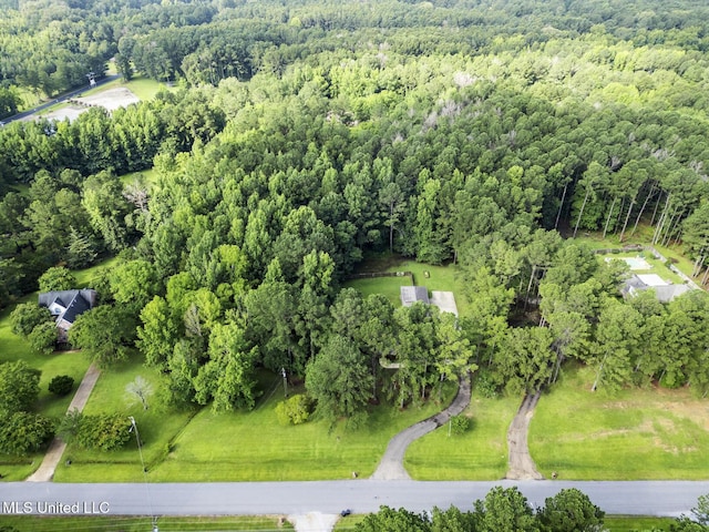 191 N Brandon Blvd, Brandon, MS 39042 - view of property location with a heavily wooded area