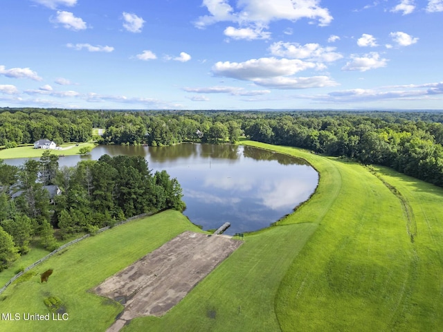 191 N Brandon Blvd, Brandon, MS 39042 - drone / aerial view of a nearby body of water