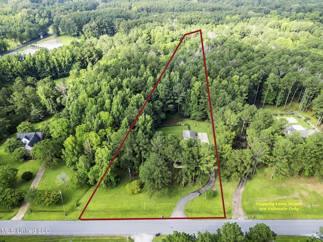 191 N Brandon Blvd, Brandon, MS 39042 - aerial view of property and surrounding area featuring a forest and property boundaries highlighted