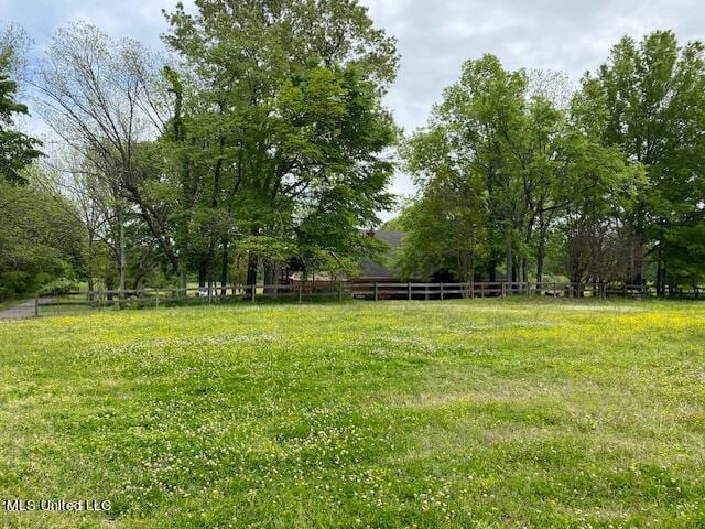 7235 Davidson Rd, Olive Branch, MS 38654 - view of yard