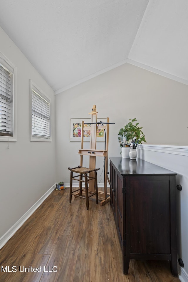 821 Planters Point Dr, Canton, MS 39046 - office with dark wood-style floors and lofted ceiling