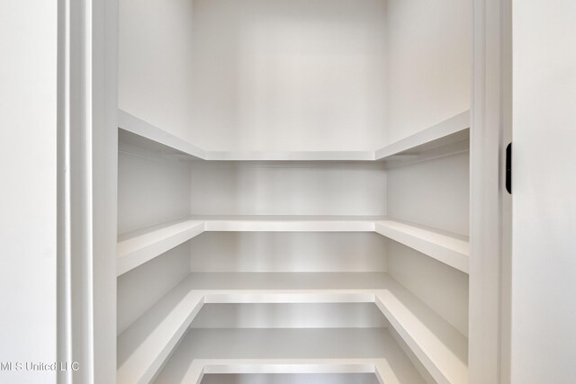 614 Cobalt Way, Brandon, MS 39042 - view of pantry