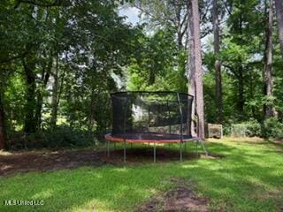 101 Dogwood Cir, Brandon, MS 39047 - view of green lawn featuring a trampoline