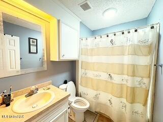 101 Dogwood Cir, Brandon, MS 39047 - bathroom featuring vanity, a textured ceiling, and a shower with shower curtain