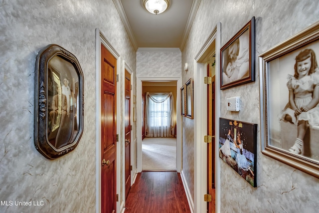 26 Woodgate Dr, Brandon, MS 39042 - corridor with baseboards, ornamental molding, and dark wood finished floors