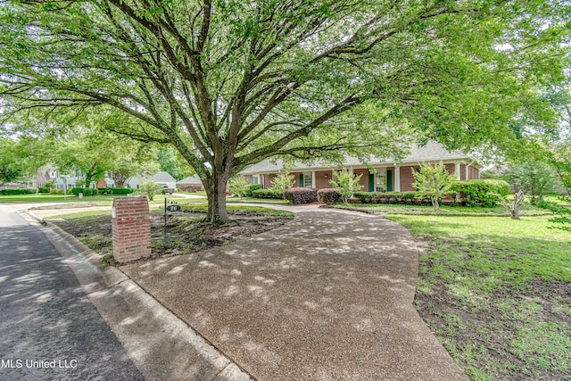 26 Woodgate Dr, Brandon, MS 39042 - view of property hidden behind natural elements with brick siding, a front yard, and curved driveway